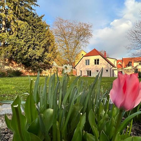 Om Yoga Center Apartman Beszterce Kültér fotó