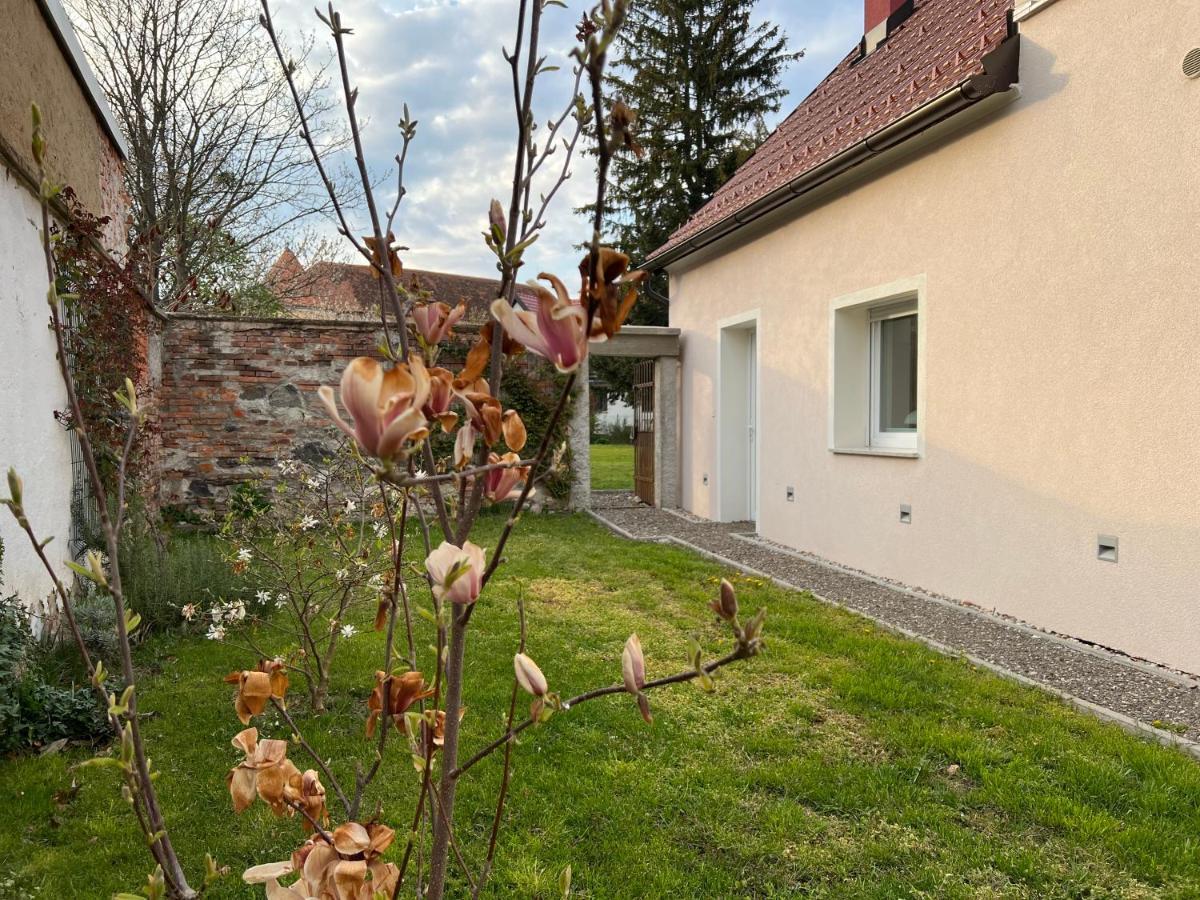 Om Yoga Center Apartman Beszterce Kültér fotó
