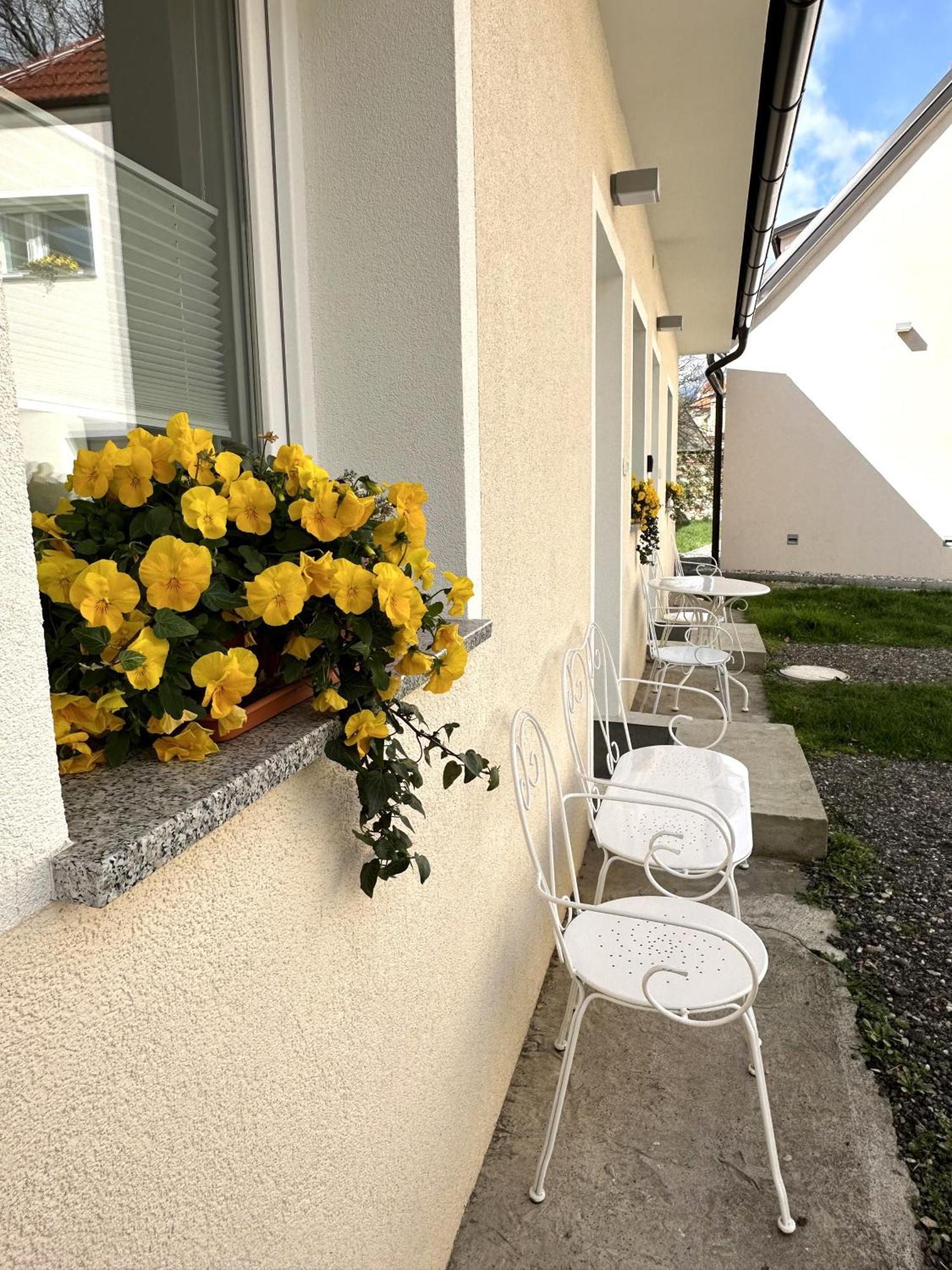 Om Yoga Center Apartman Beszterce Kültér fotó